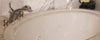 Master Bath tub area